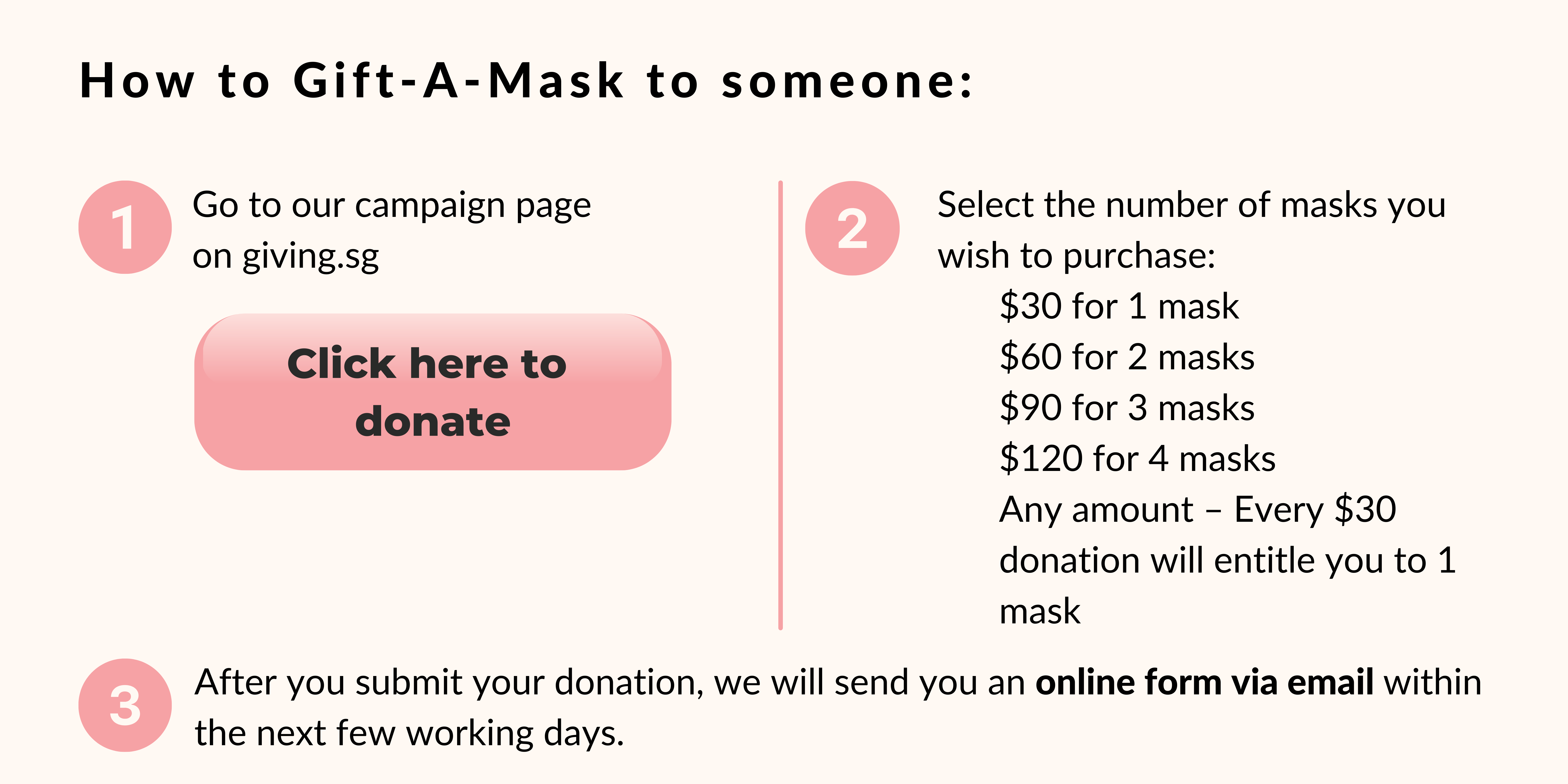 Donation Singapore, nonprofit organisation for senior women, Gift a mask. Gift Hope. Fundraising Campaign | Society for WINGS
