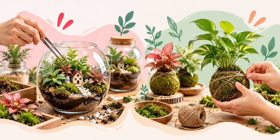 ecoliving progs